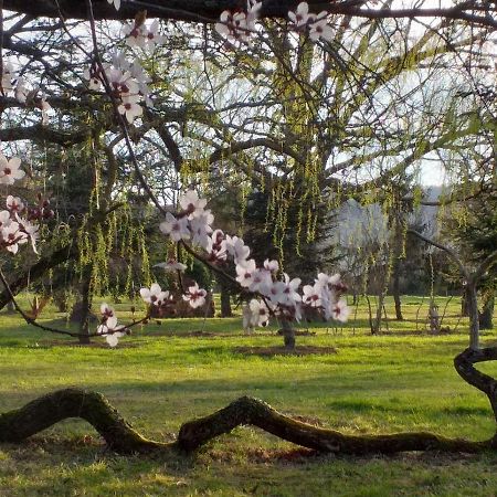 欧世Domaine Berenguer住宿加早餐旅馆 外观 照片