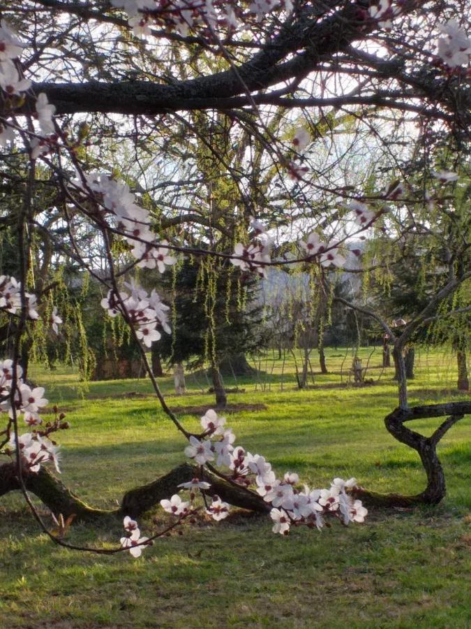 欧世Domaine Berenguer住宿加早餐旅馆 外观 照片