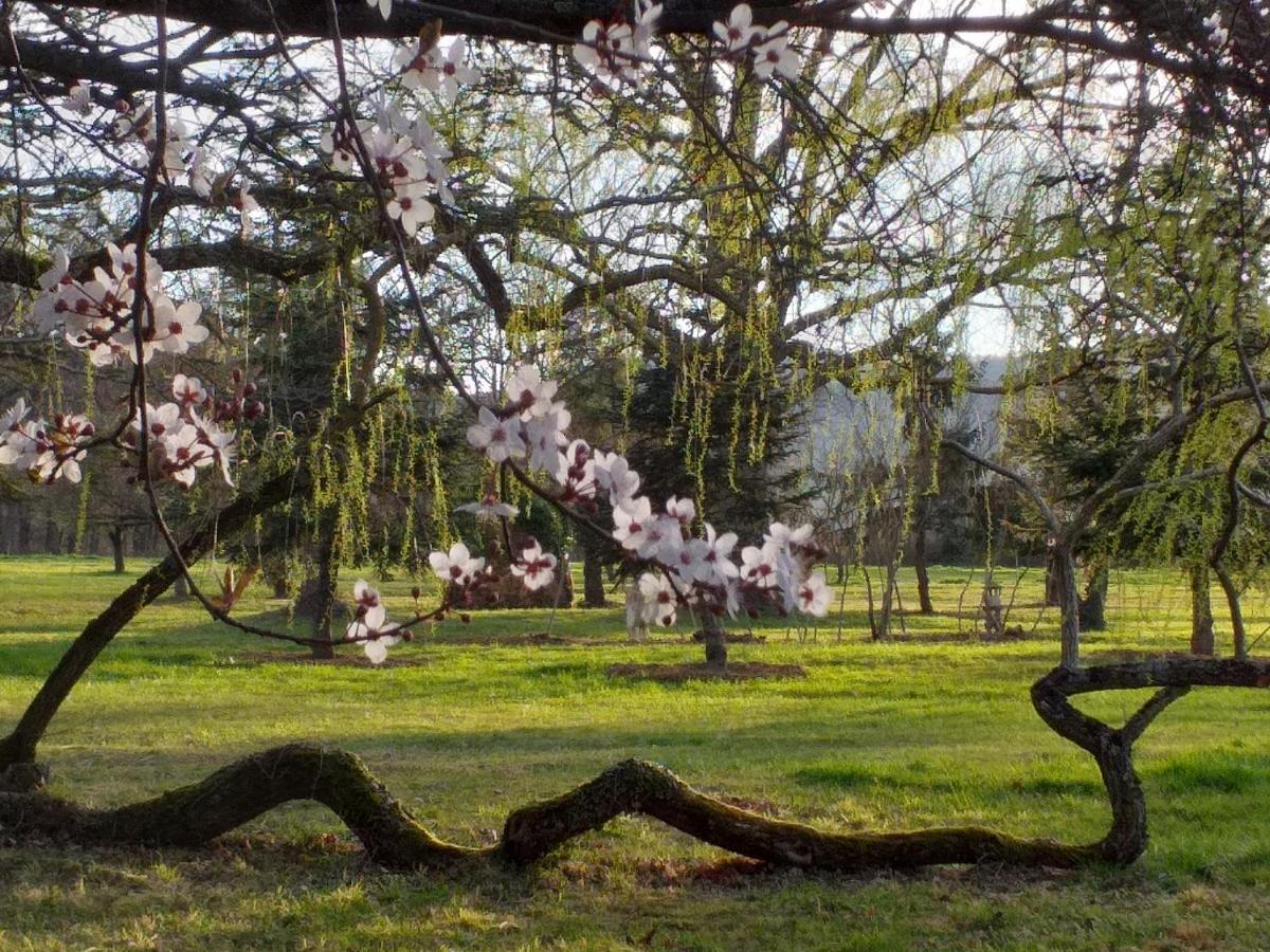 欧世Domaine Berenguer住宿加早餐旅馆 外观 照片